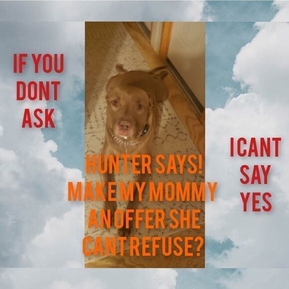 GIRLS 1ST BAG New mini bag Faux Leather pinks & blues Goldtone hardware … - Picture 10 of 16